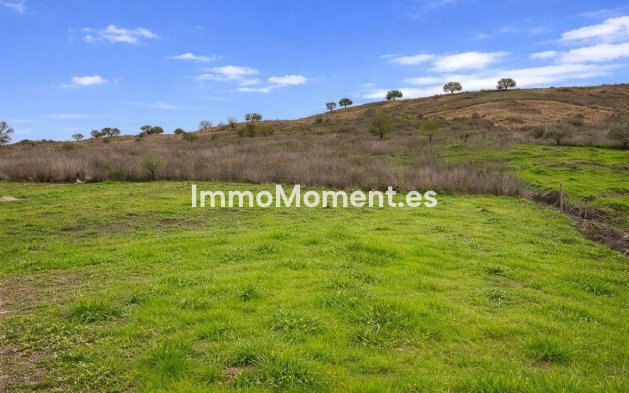 Reventa - Casa de campo - Interior  - Coín