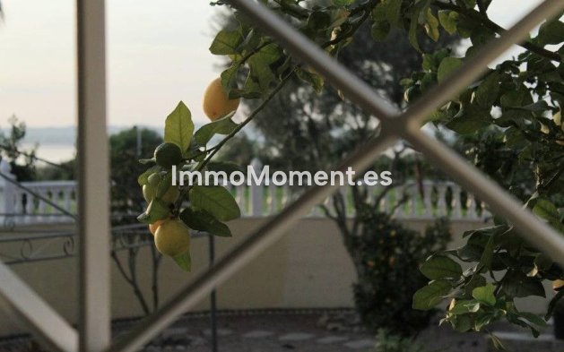 Wiederverkauf - Villa - Torrevieja - La Siesta