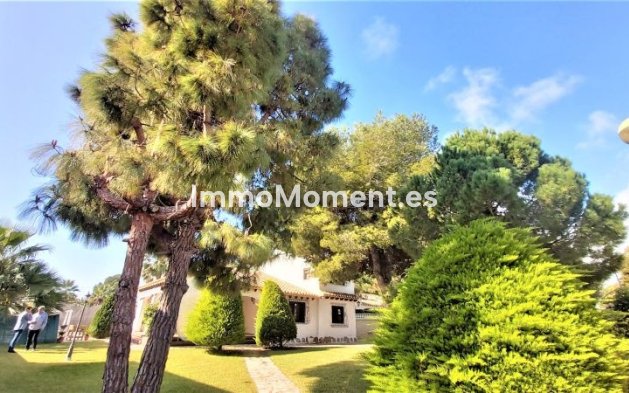 Wiederverkauf - Villa - Torrevieja - Torrevieja Centro