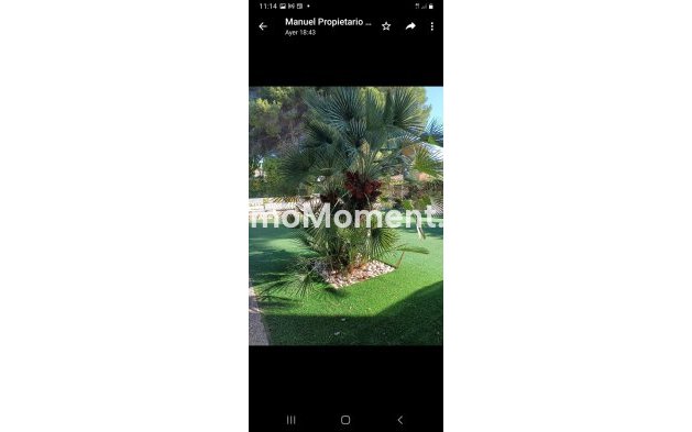 Wiederverkauf - Villa - Orihuela - Campoamor