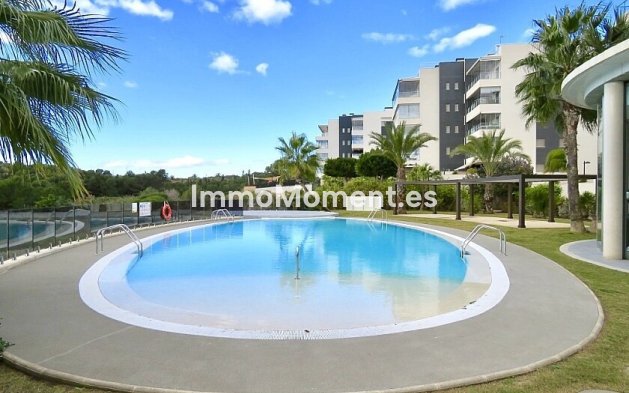 Reventa - Apartamento - Orihuela - Villamartin