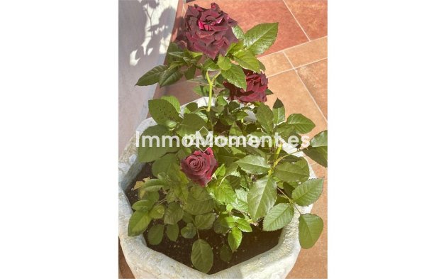 Revente - Villa - Teulada - Moraira