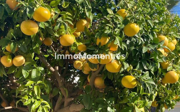 Revente - Villa - Teulada - Moraira