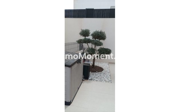 Revente - Villa - Algorfa - La Finca Golf