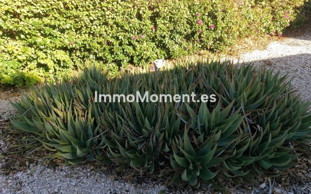 Wiederverkauf - Landhaus - Orihuela - Orihuela Centro