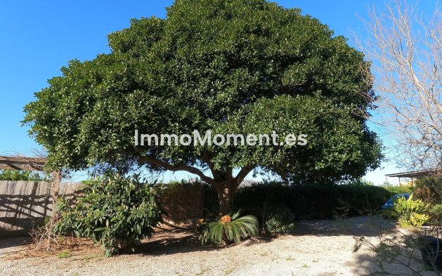 Wiederverkauf - Landhaus - Orihuela - Orihuela Centro