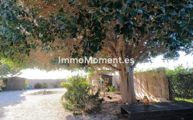 Wiederverkauf - Landhaus - Orihuela - Orihuela Centro