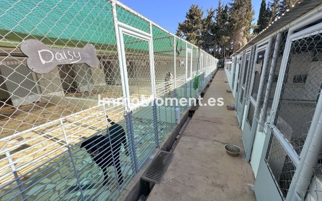 Wiederverkauf - Landhaus - Mijas - Mijas Centro