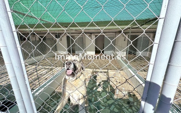 Wiederverkauf - Landhaus - Mijas - Mijas Centro