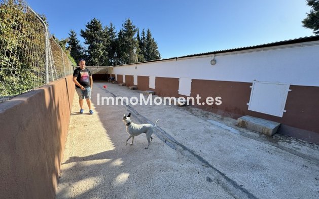 Wiederverkauf - Landhaus - Mijas - Mijas Centro