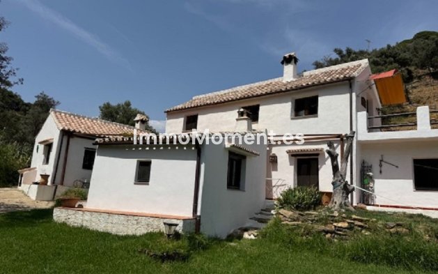 Wiederverkauf - Landhaus - Casares - Casares Centro