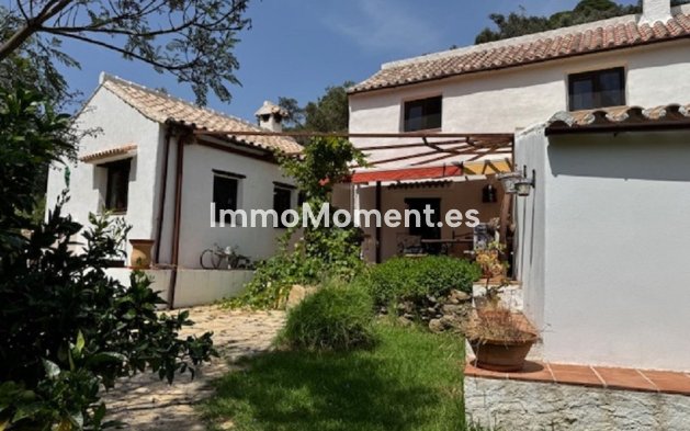 Wiederverkauf - Landhaus - Casares - Casares Centro