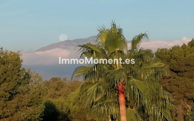 Reventa - Apartamento - New Golden Mile