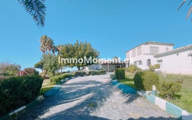 Wiederverkauf - Villa - Marbella - Marbella Centro