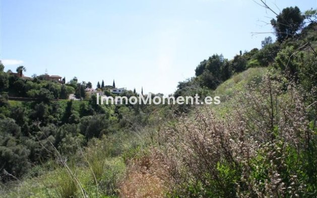 Neubau - Land - Marbella - El Rosario