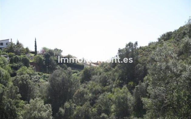 Neubau - Land - Marbella - El Rosario