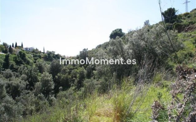 Neubau - Land - Marbella - El Rosario