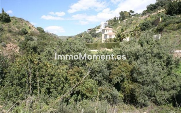 Neubau - Land - Marbella - El Rosario