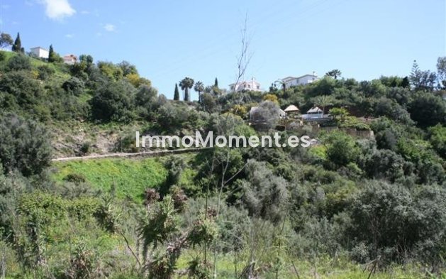 Neubau - Land - Marbella - El Rosario