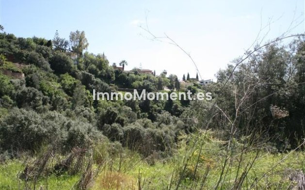 Neubau - Land - Marbella - El Rosario