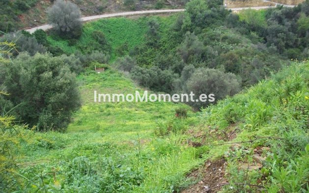 Neubau - Land - Marbella - El Rosario