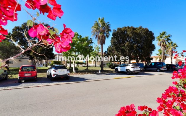 Wiederverkauf - Reihenhaus - Rojales - Dona Pepa