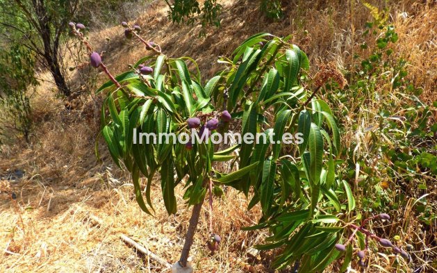 Revente - Maison de campagne - Mijas - Mijas Costa