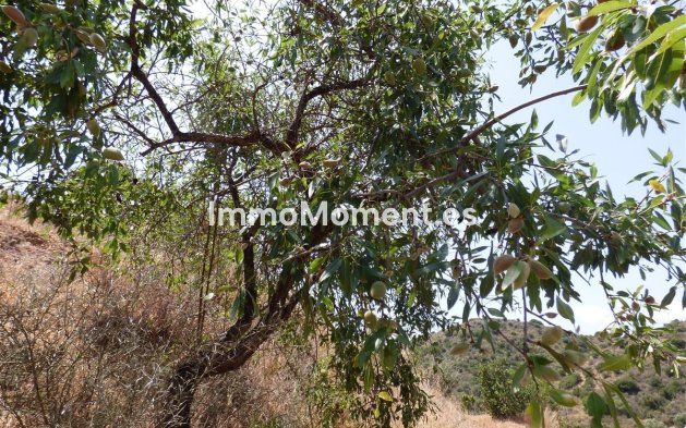 Revente - Maison de campagne - Mijas - Mijas Costa