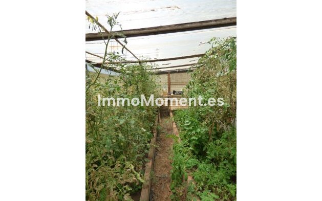 Revente - Maison de campagne - Mijas - Mijas Costa