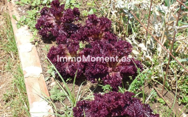 Revente - Maison de campagne - Mijas - Mijas Costa