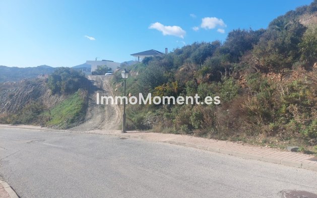 Revente - Terrain - Intérieur                       - Coín