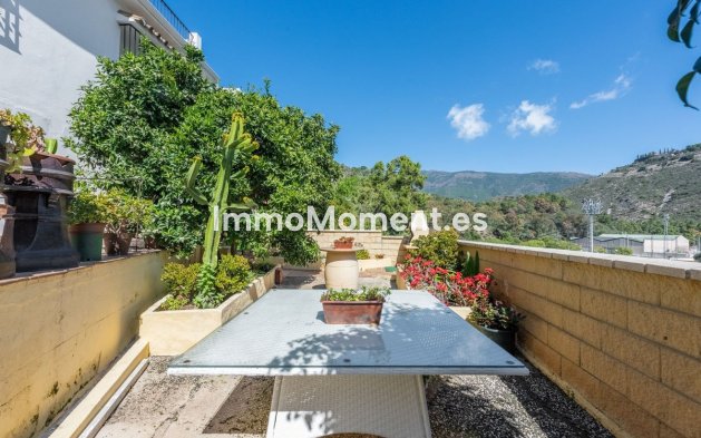 Reventa - Apartamento - Benahavís - Benahavís Centro