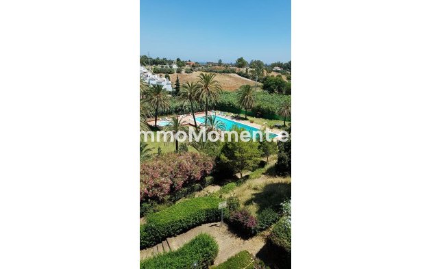 Reventa - Apartamento - Estepona  - Estepona Centro