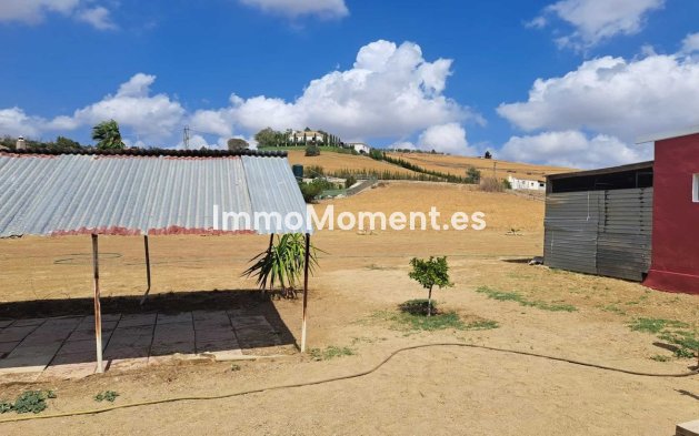 Revente - Maison de campagne - Intérieur                       - Coín