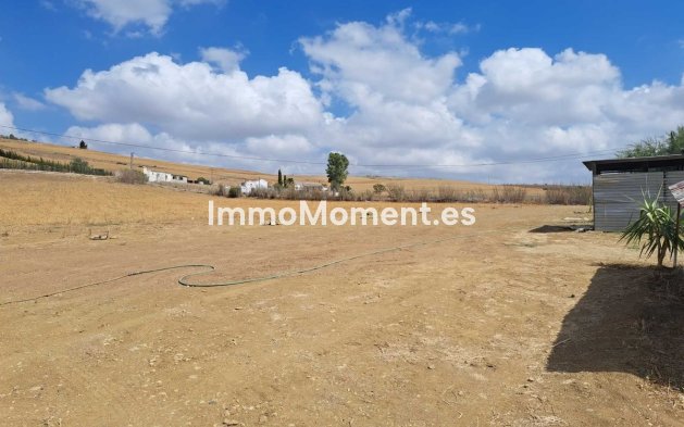 Revente - Maison de campagne - Intérieur                       - Coín