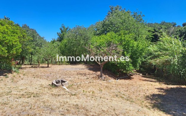 Revente - Villa - Intérieur                       - Coín