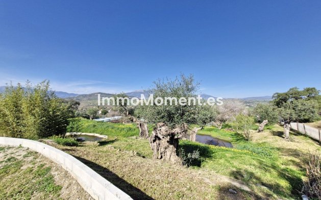 Revente - Maison de campagne - Intérieur                       - Coín