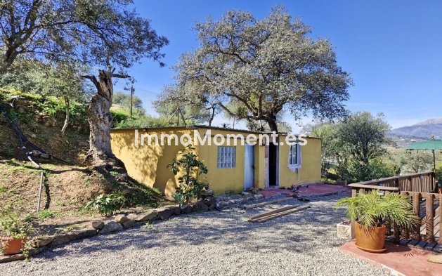 Revente - Maison de campagne - Intérieur                       - Coín