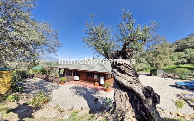 Revente - Maison de campagne - Intérieur                       - Coín