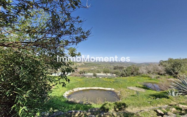 Revente - Maison de campagne - Intérieur                       - Coín