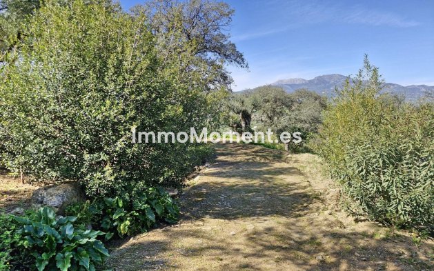 Revente - Maison de campagne - Intérieur                       - Coín