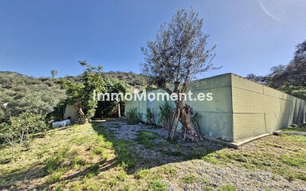 Revente - Maison de campagne - Intérieur                       - Coín