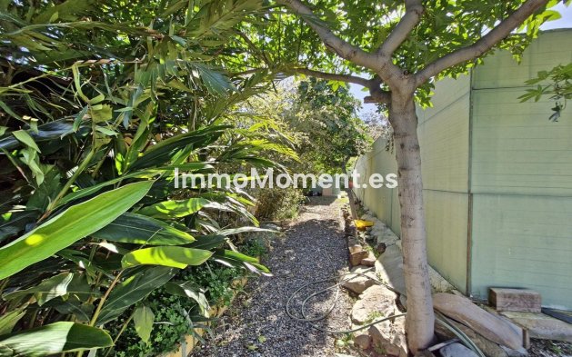 Revente - Maison de campagne - Intérieur                       - Coín