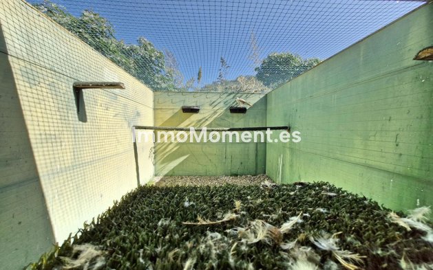 Revente - Maison de campagne - Intérieur                       - Coín