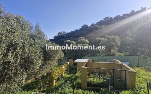 Revente - Maison de campagne - Intérieur                       - Coín