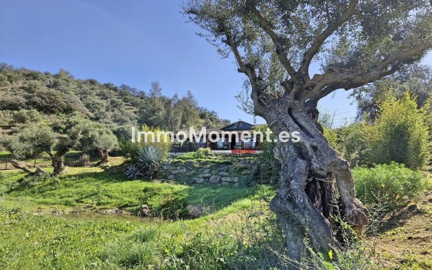 Revente - Maison de campagne - Intérieur                       - Coín