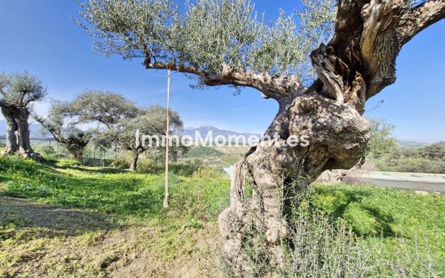 Revente - Maison de campagne - Intérieur                       - Coín