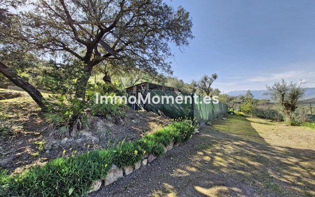 Revente - Maison de campagne - Intérieur                       - Coín