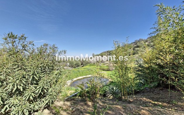 Revente - Maison de campagne - Intérieur                       - Coín