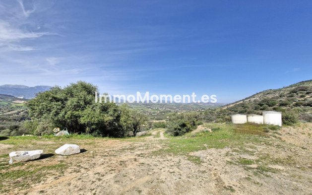 Revente - Maison de campagne - Intérieur                       - Coín